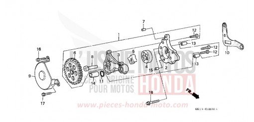 POMPA OLIO (1) (XR250RE) XR250RE di 1984